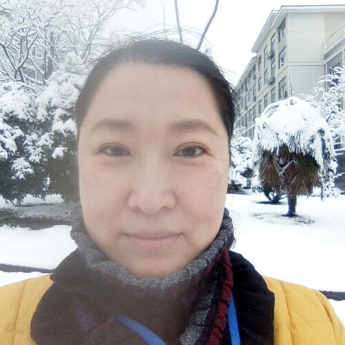 冰雪傲梅的照片