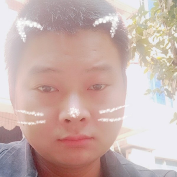寇宝的照片