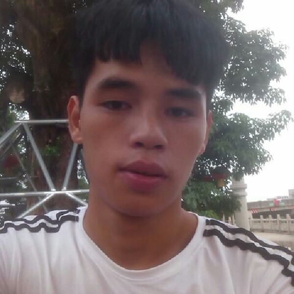 沉默寡言柏的照片