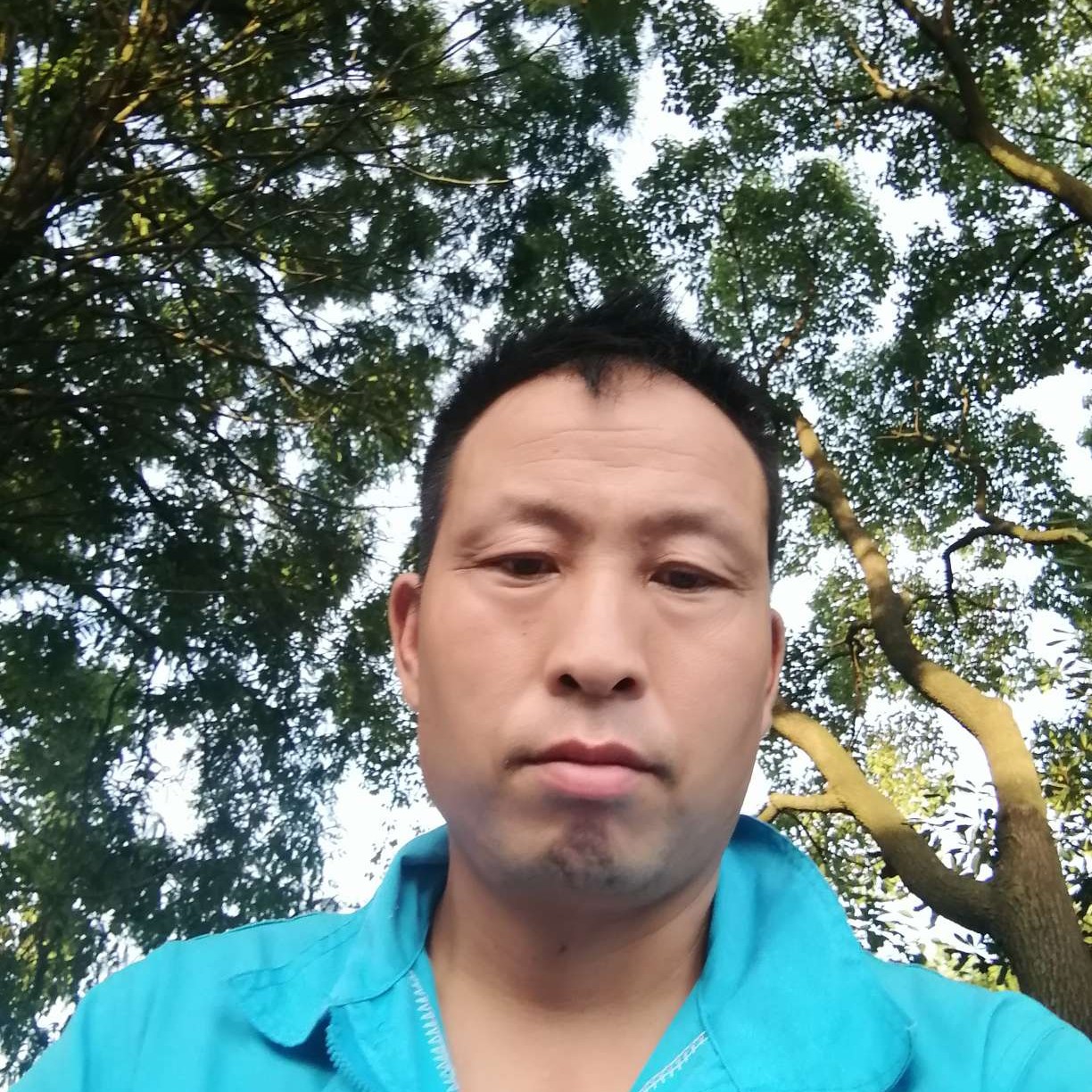 汽车回首糊涂的照片