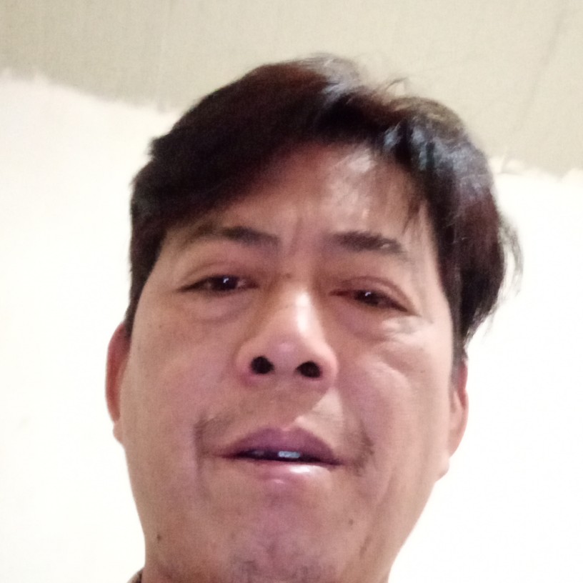 隐忍回首含羞草的照片