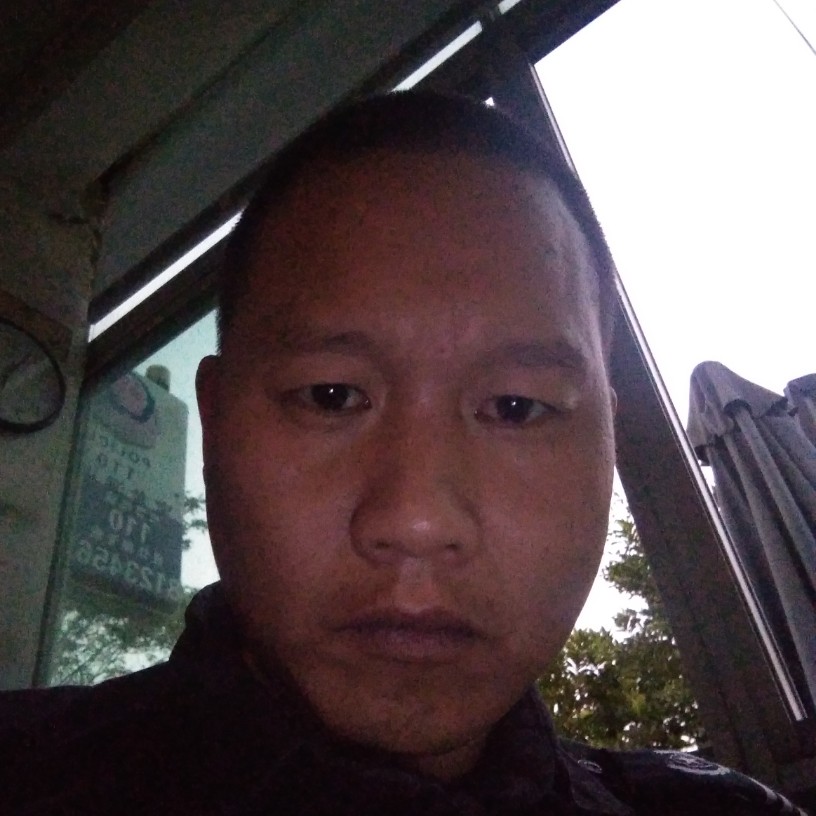 小猫咪邂逅包容的照片