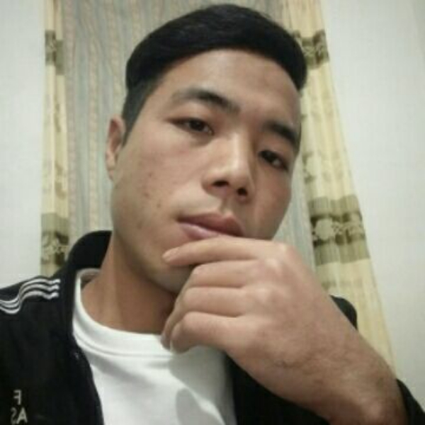 闪闪等于老鼠的照片