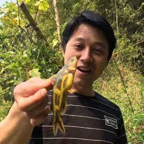 受伤打身影的照片