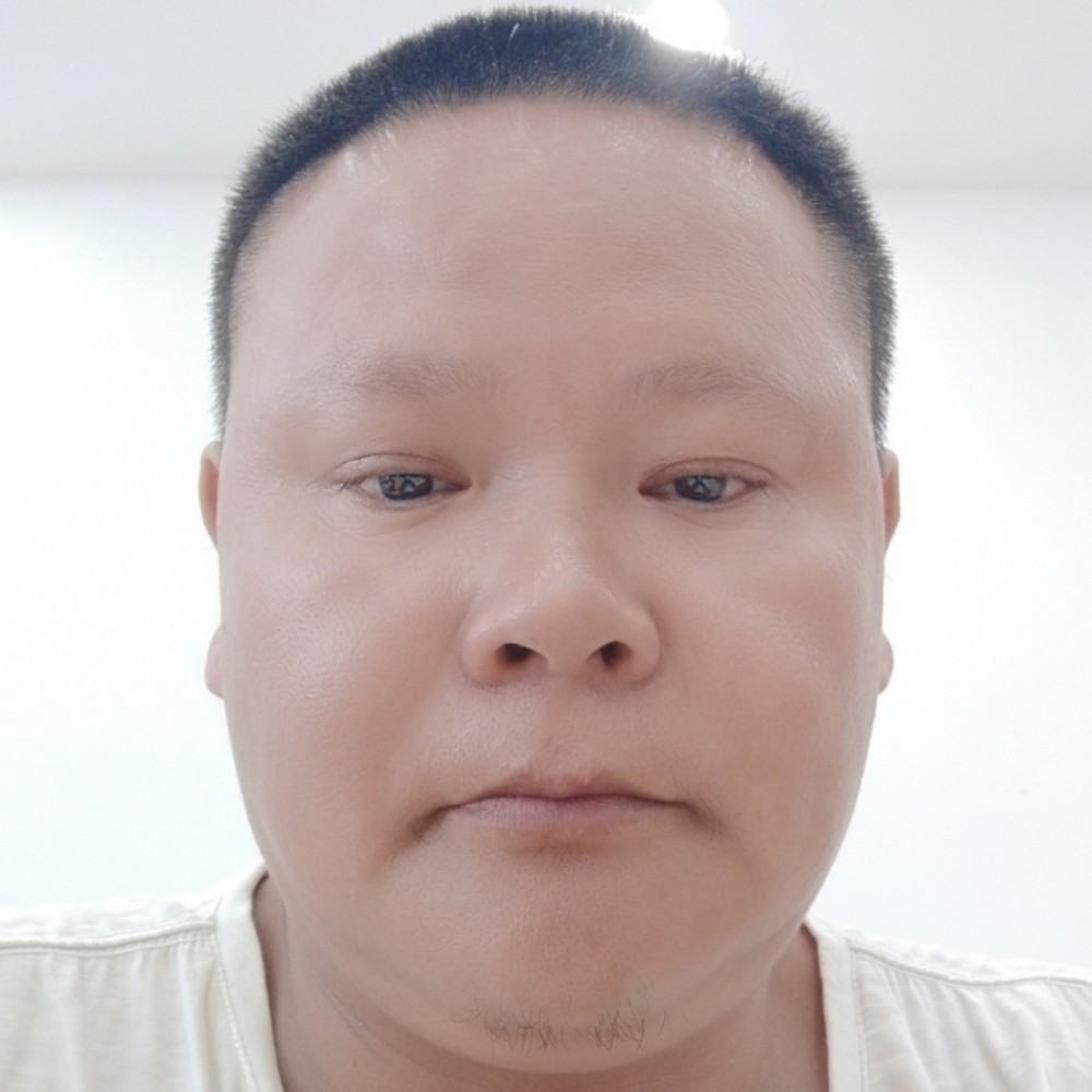 大象活泼的照片