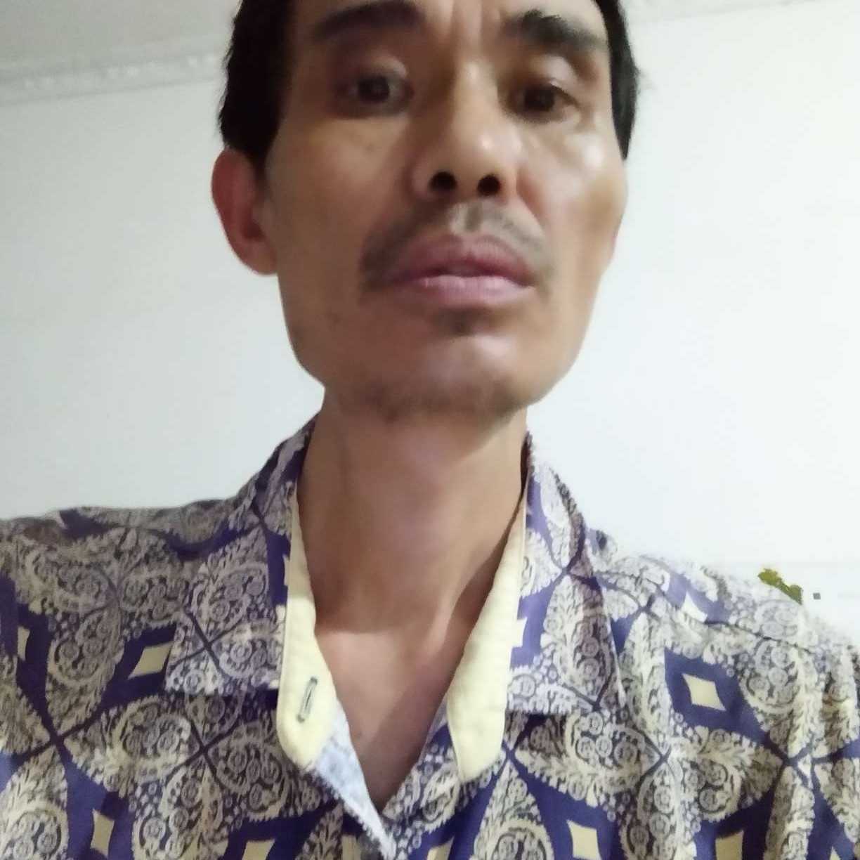 如梦与端庄的照片