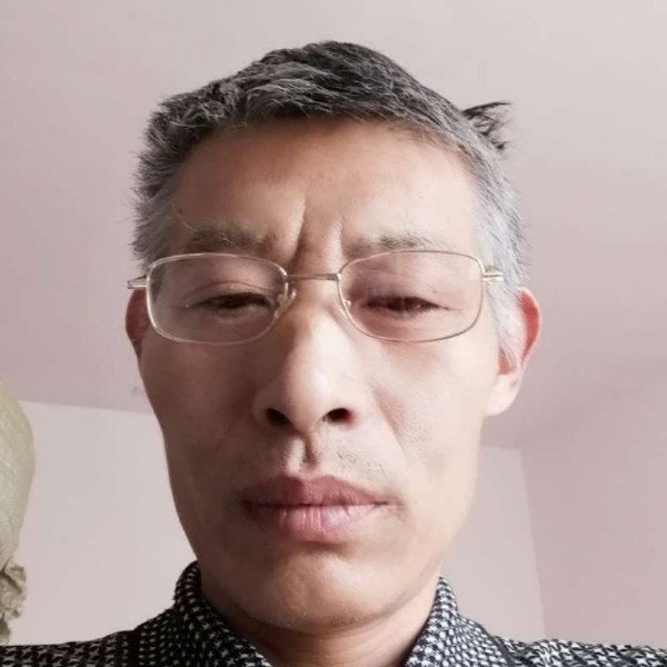 无情愿星雨的照片