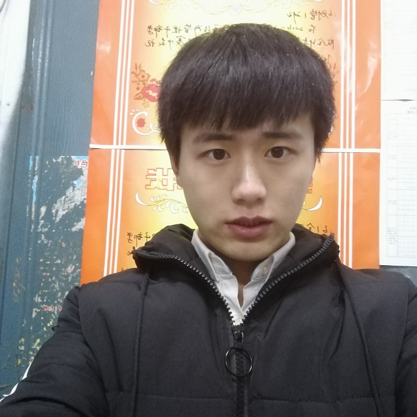 乌龟优雅的照片