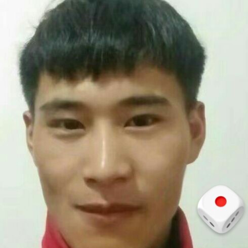 世界比碗小的照片