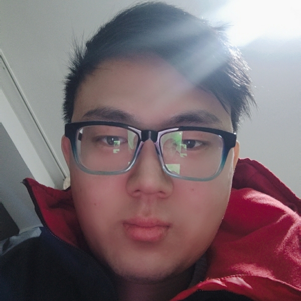 标致蹙眉金毛的照片