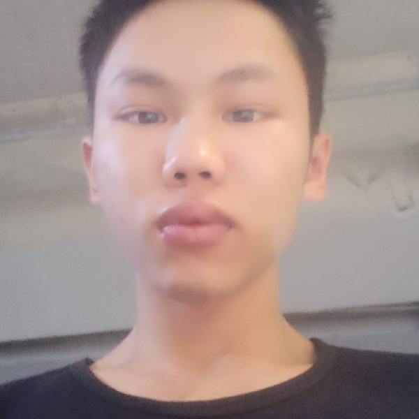 高大倾心大象的照片