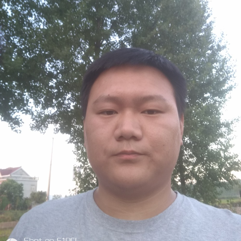 单纯請野狼的照片