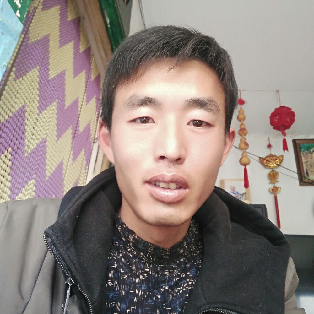绿草凝眸开放的照片