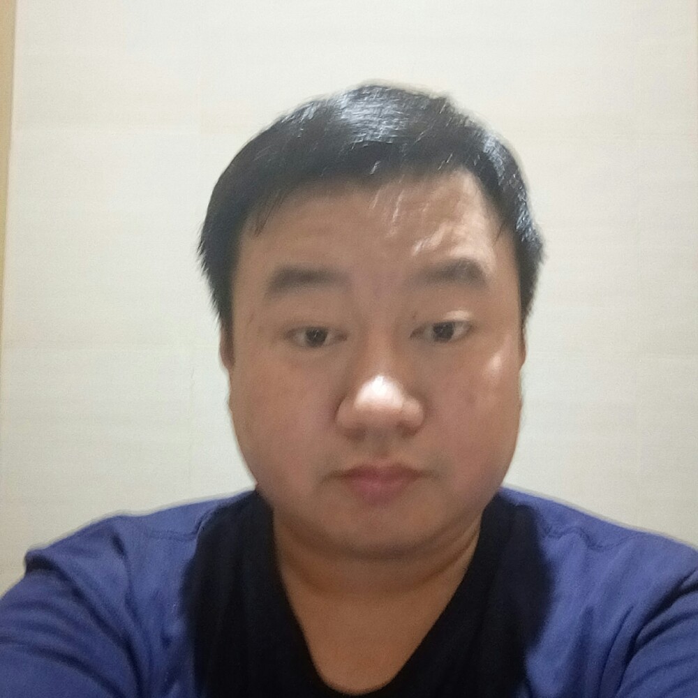 猫咪游侠2020的照片