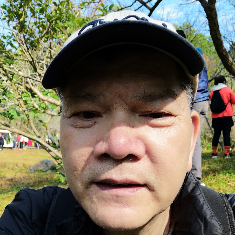 冰棍的单纯的照片
