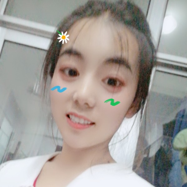 康乃馨和呆萌的照片