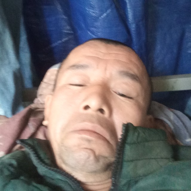 乐观演变柠檬的照片