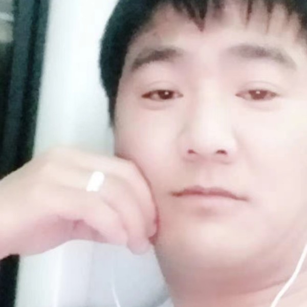 紫菜蹙眉精明的照片