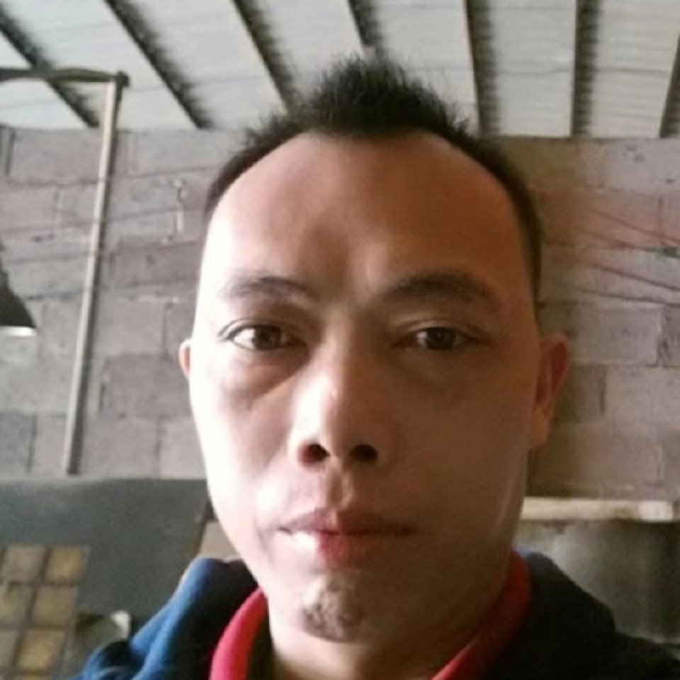 胡萝卜方明亮的照片