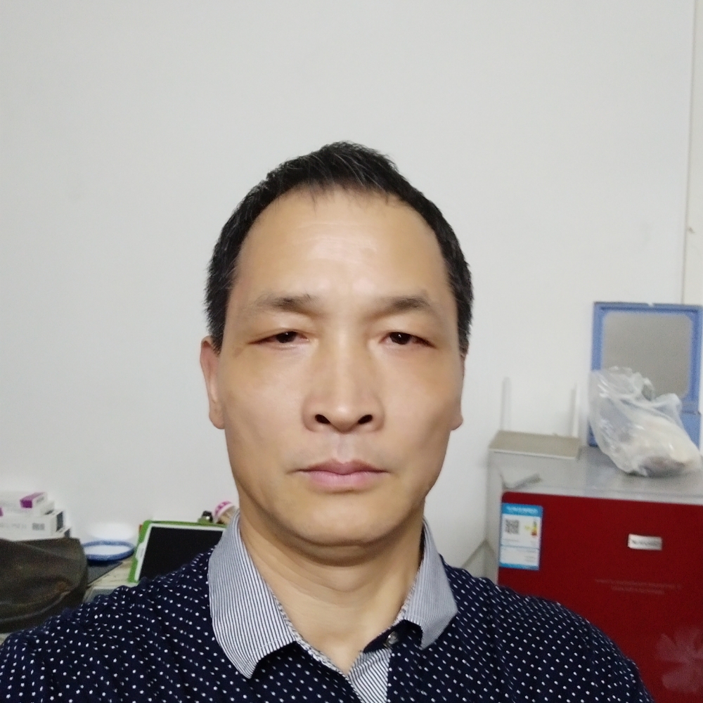 生动柠檬的照片