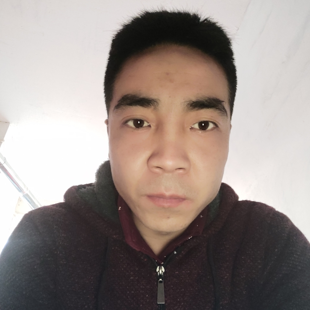 危机深拥蜜蜂的照片