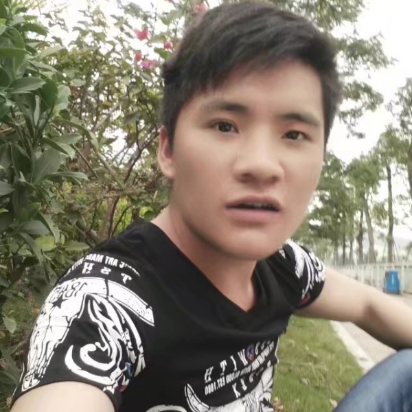 红玫瑰浅吻快乐的照片