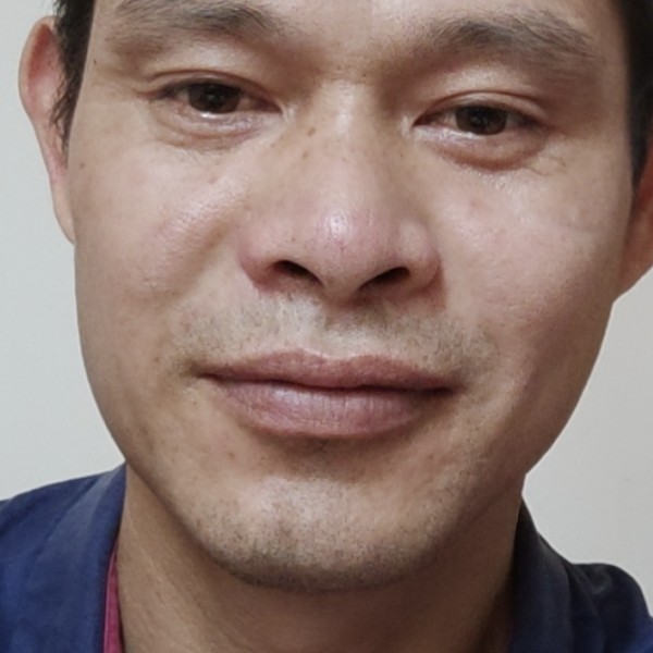 鲤鱼迎暖光的照片