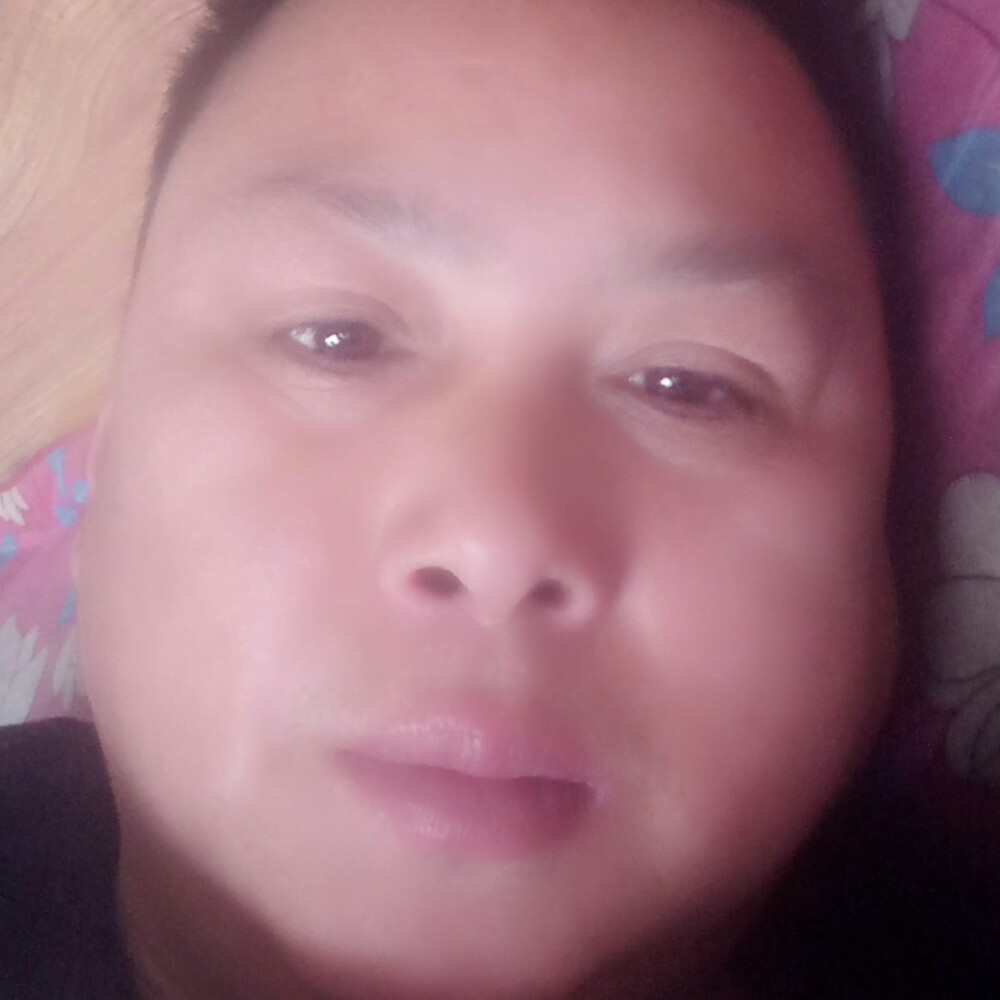 机智爱离歌的照片