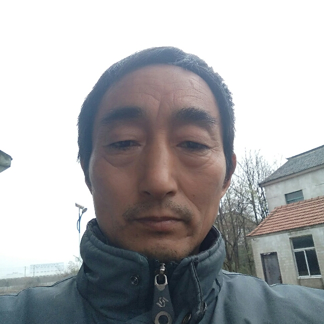 王家洪的照片
