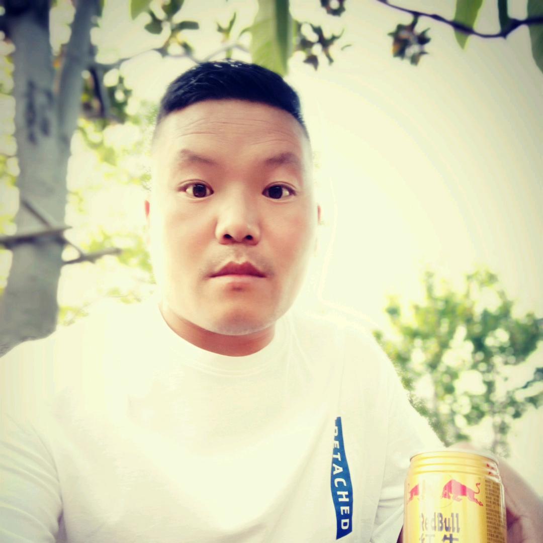 酷炫停止帆布鞋的照片