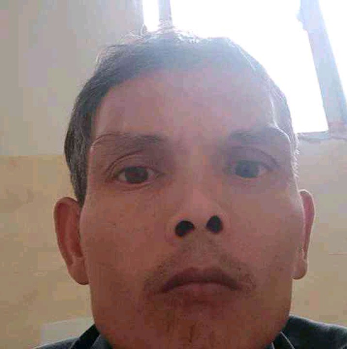 敏感等于玫瑰的照片