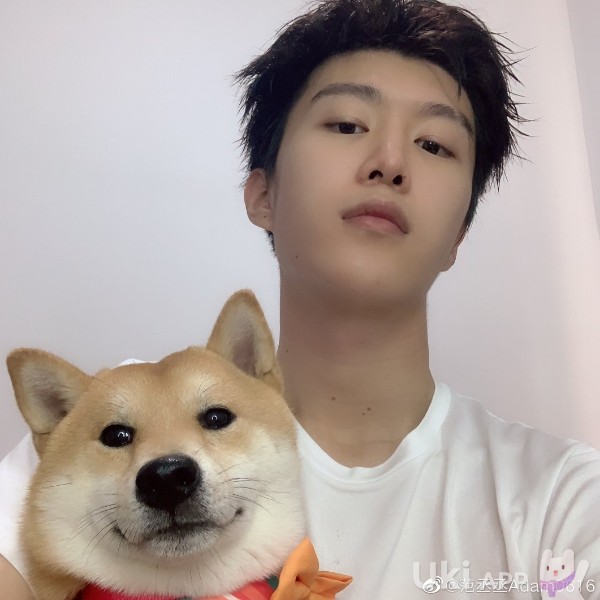 小白小白超强的照片