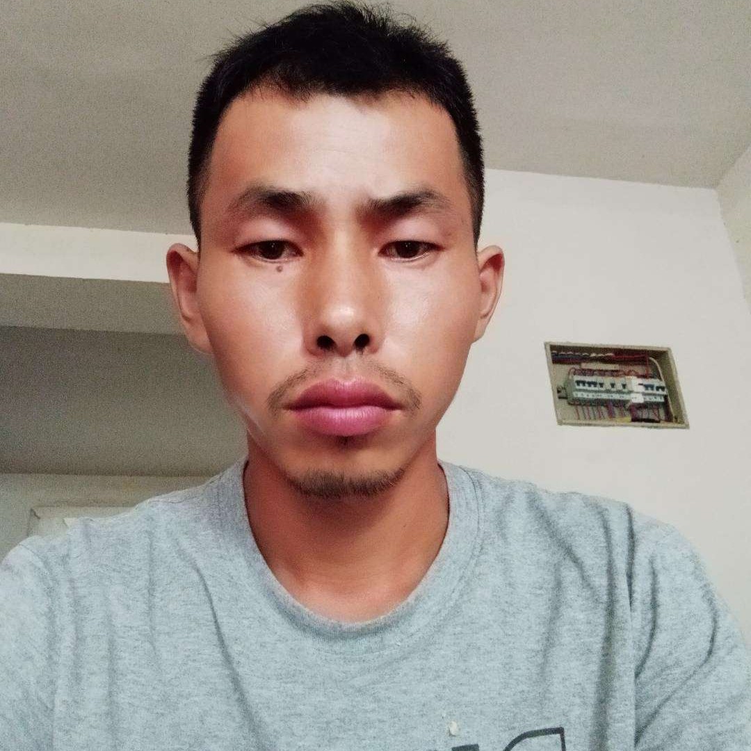 美满与老鼠的照片