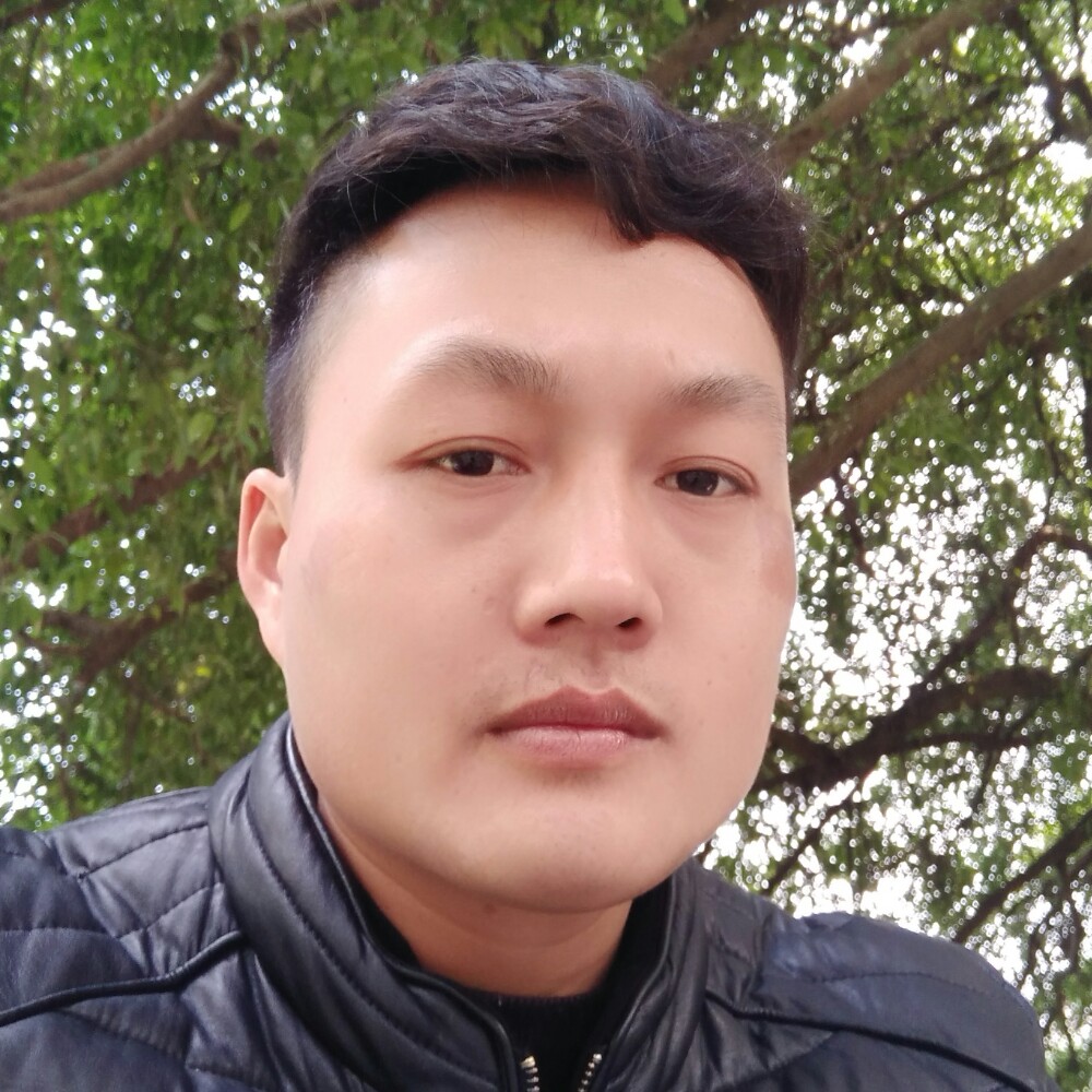 寻找阳光。的照片