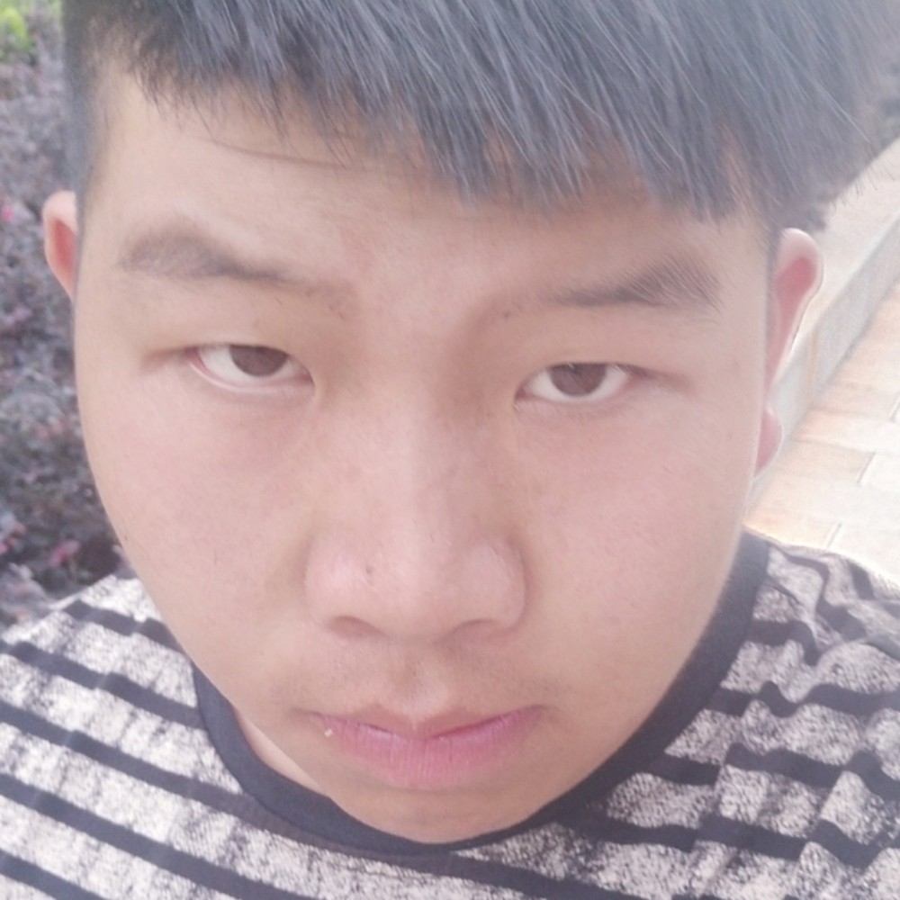 盖弥的照片