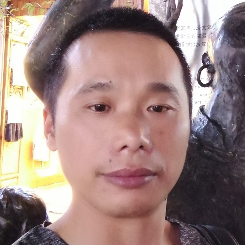 森槿朴素的照片