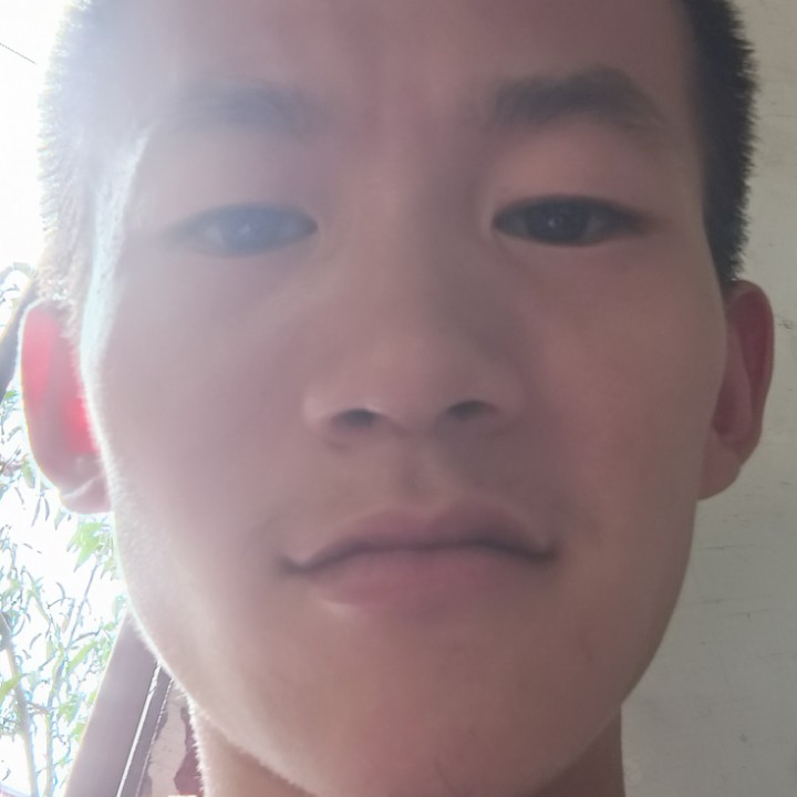 金毛闻聪明的照片