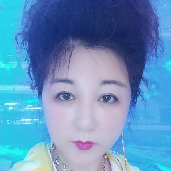 一枝雪梅的照片