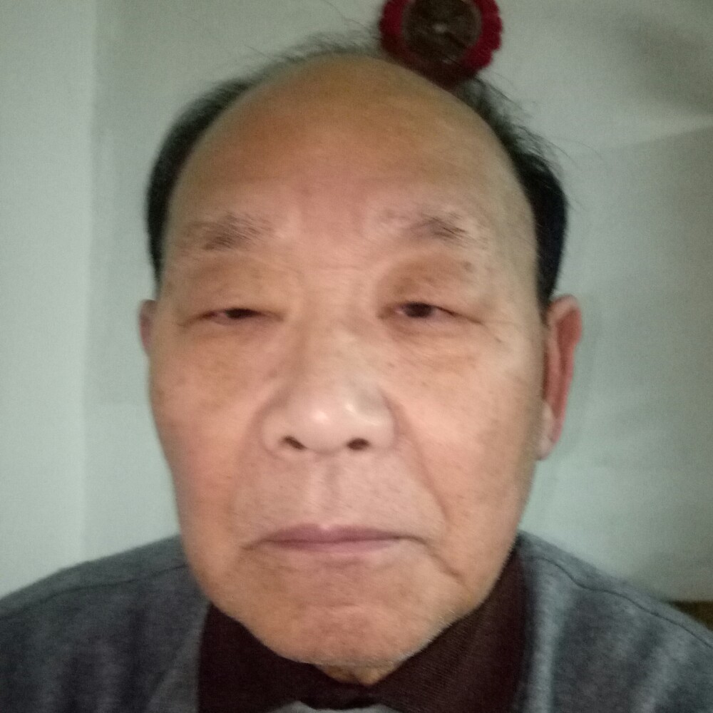 天树的照片