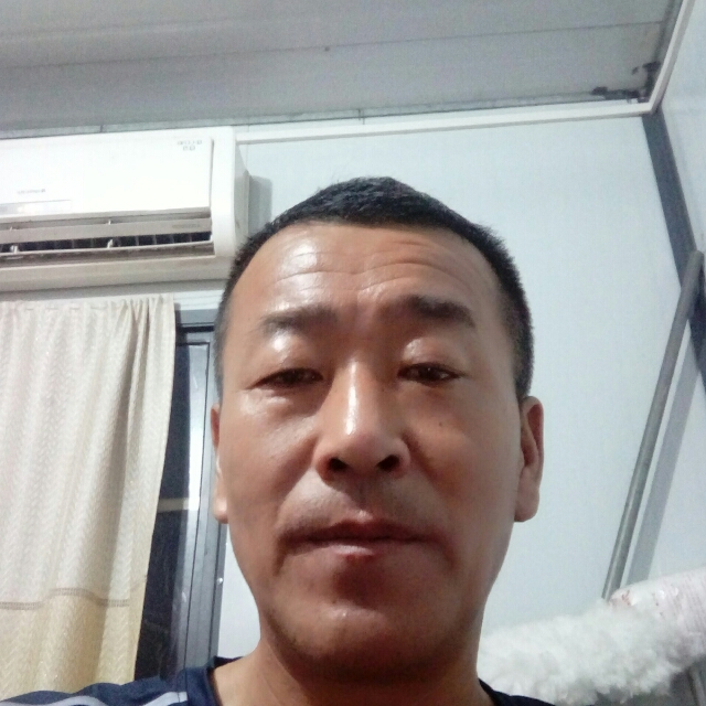 朴素闻小蝴蝶的照片
