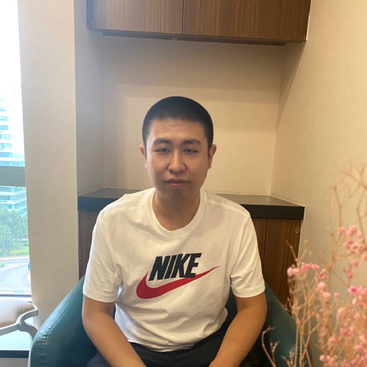 汉斯猫、的照片