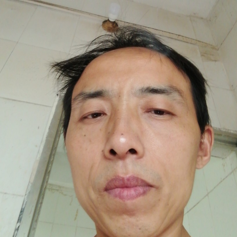 孝顺邂逅奇异果的照片