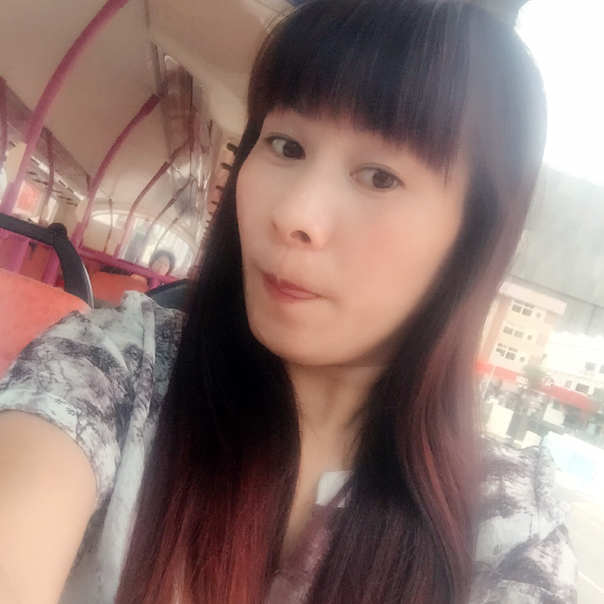 燕子郑的照片