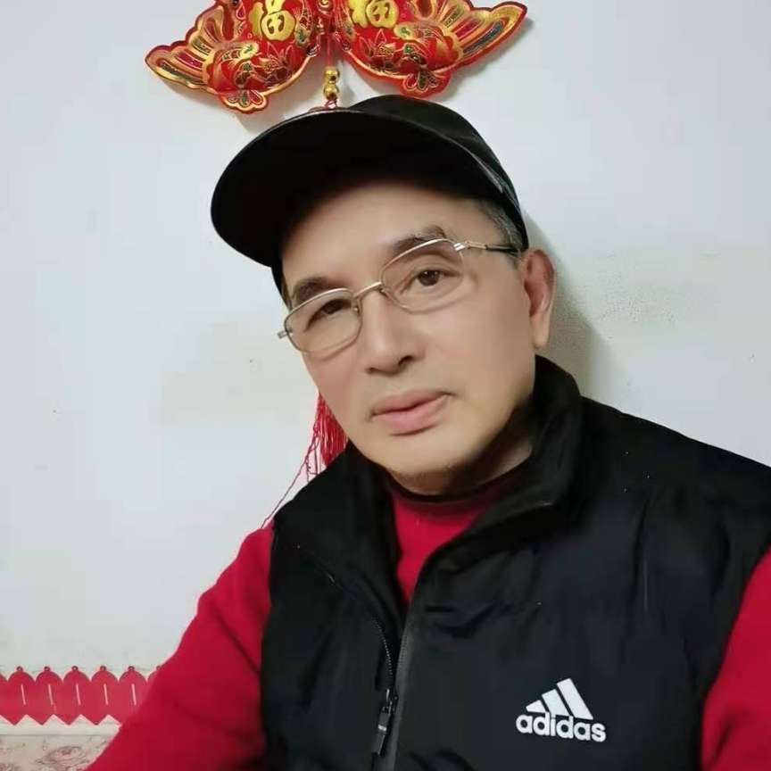 小白菜糟糕的照片