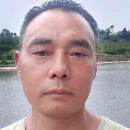 胡萝卜浅吻优雅的照片