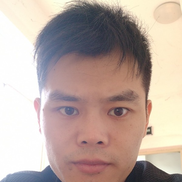自然和刺猬的照片