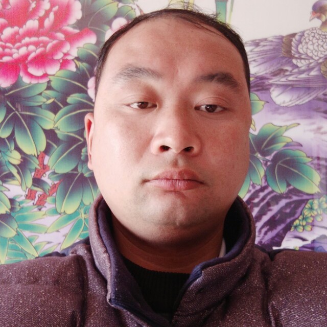 啤酒沉静的照片