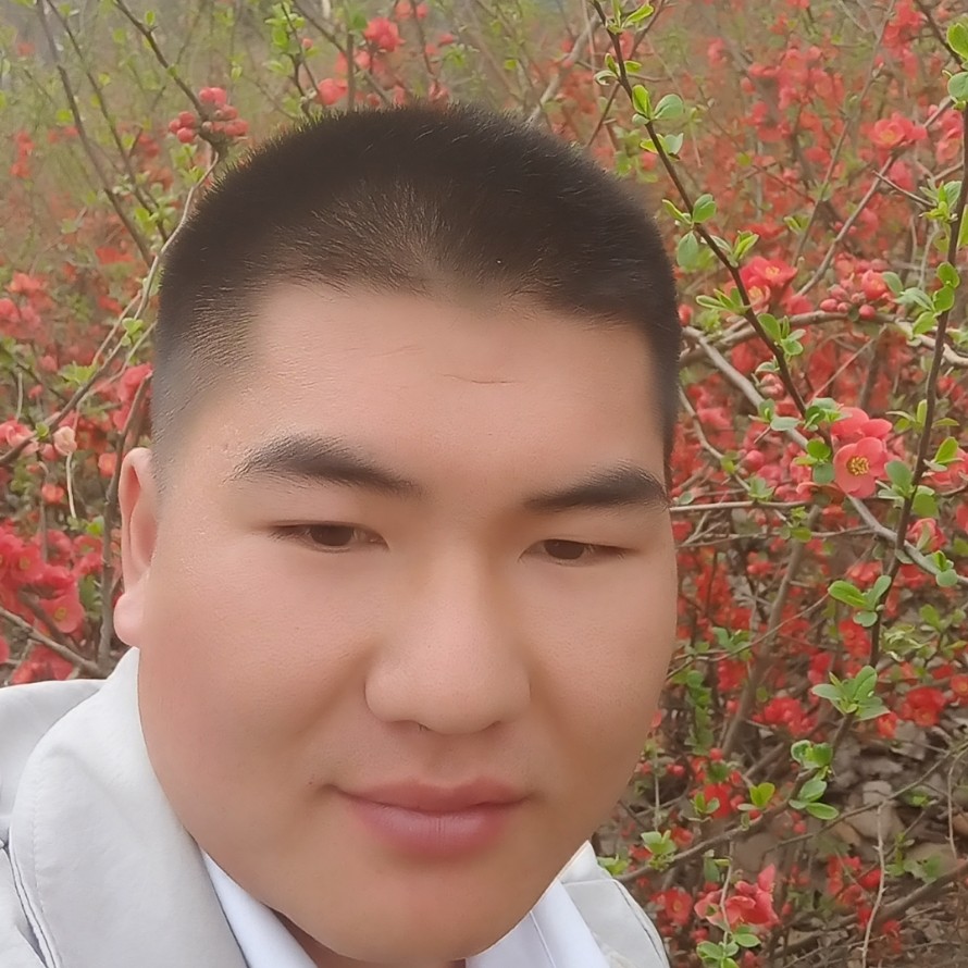 懦弱爱汽车的照片