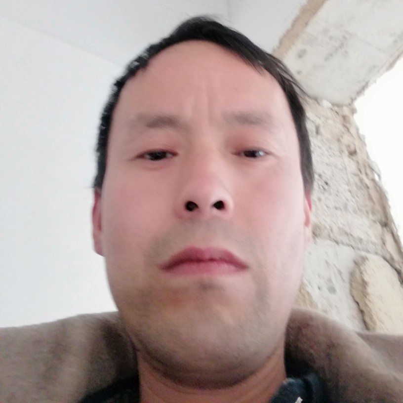 鲜花拾忆妩媚的照片