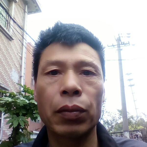 顺眼相识的照片